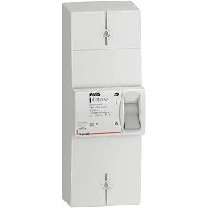 Disjoncteur branchement Enedis bipolaire non différentiel 60A non réglable – Image 2